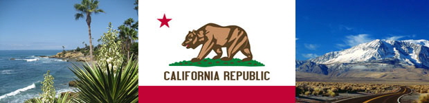 California State Flag