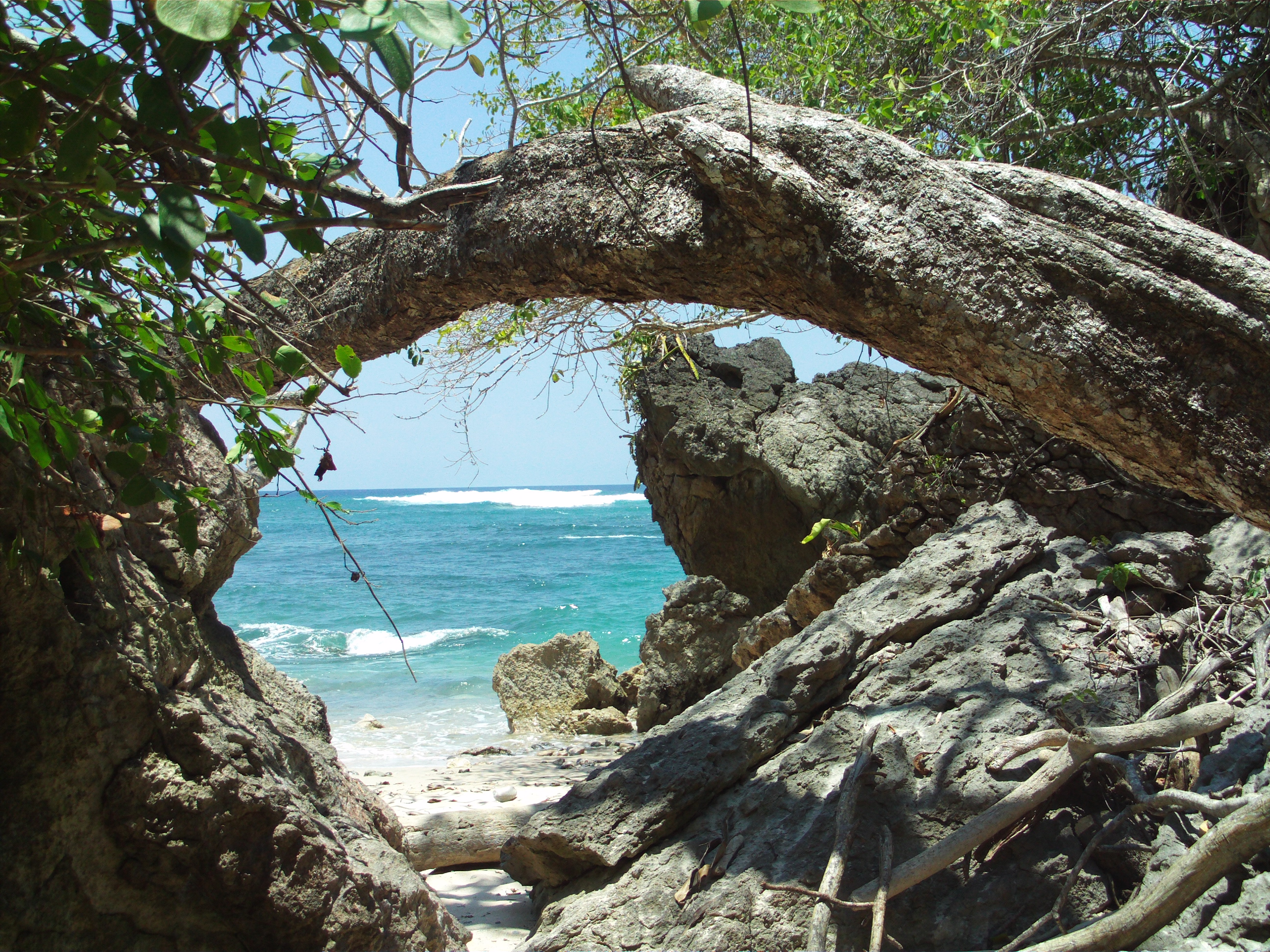 Cabo Blanco Nature Reserve- Beachcomber Pete