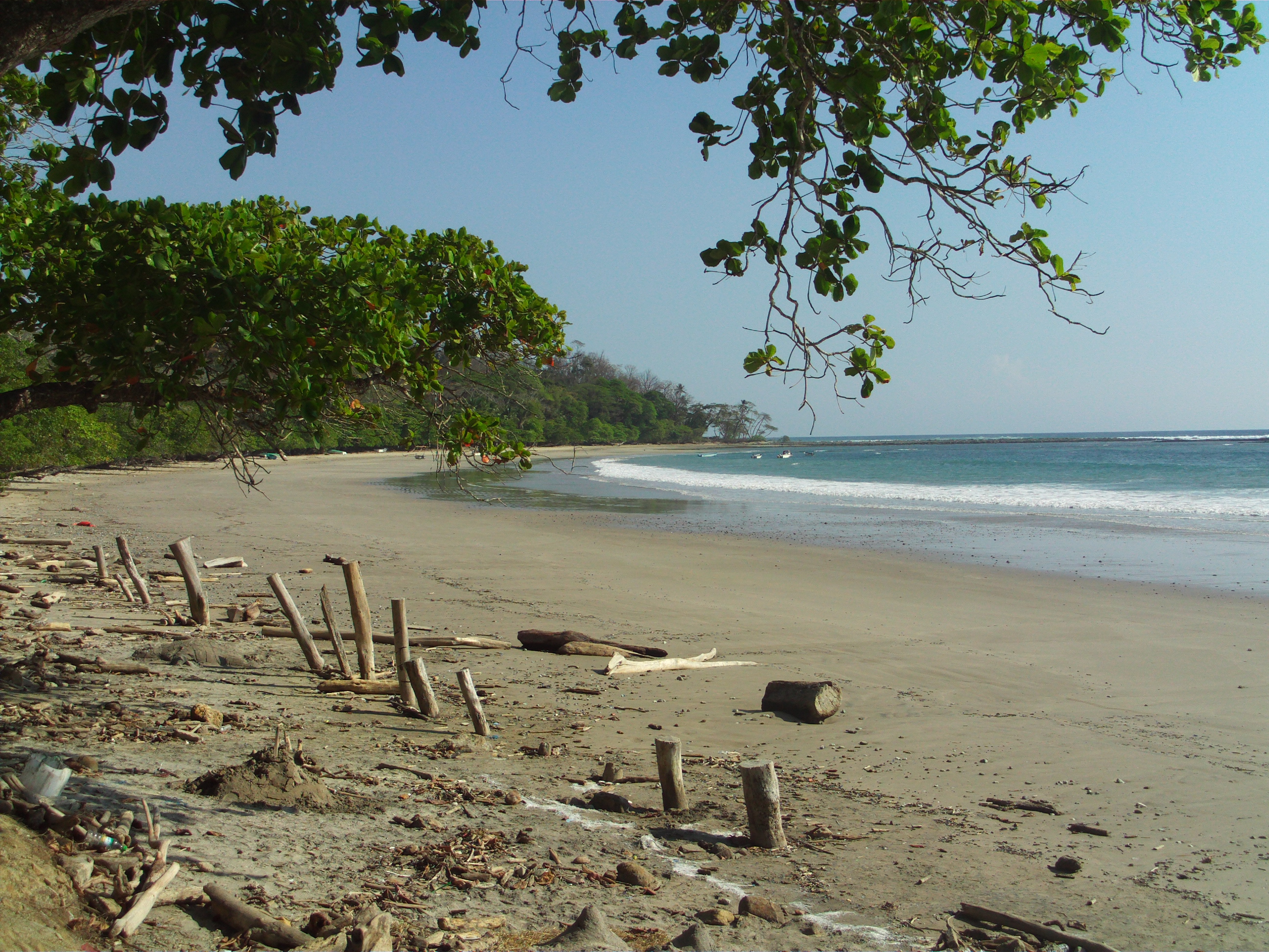 Manzanillo Beach Costa Rica -Beachcomber Pete