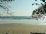 Manzanillo Costa Rica - Beachcomber Pete