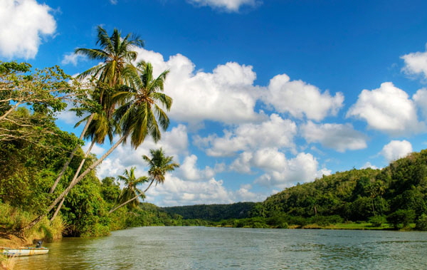 Tropical forest and river Dominican Republic1