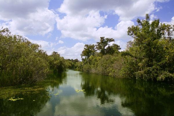 Florida Everglades