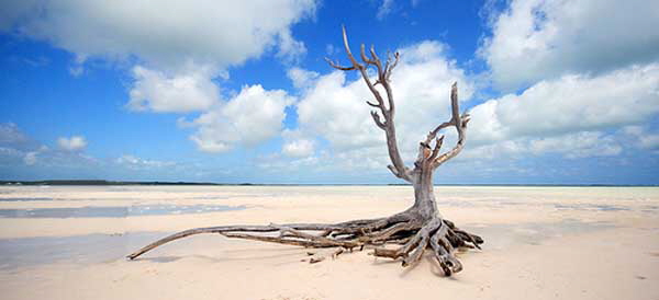 Tides out Harbour Island Eleuthera Bahamas