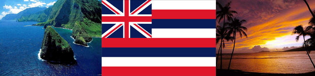 Hawaii Flag and State