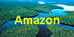 Amazon River