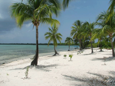 Little-Cayman-Island