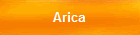 Arica