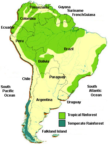 South America Rainforest Map