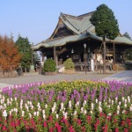 Shakado Hall Naritasan Shinsyoji Temples, Narita, Japan