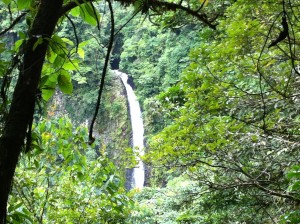 Catarata de La Fortuna through the trees Costa Rica