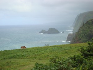 North Kohala,Hawaii