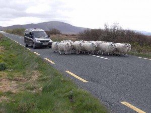 Traffic Jam Ireland