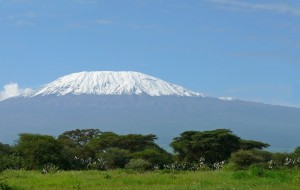 Kilimanjaro