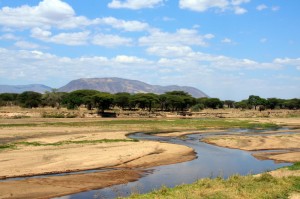 Ruaha National Park , Tanzania