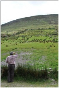 Sheep Hearding Ring of Kerry Ireland