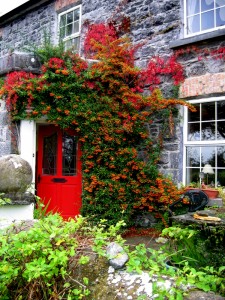 B&B Athenry Ireland