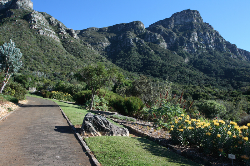 Kirstenbosch Botanical Gardens Cape Town, South Africa