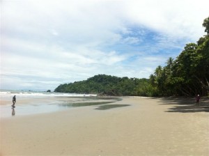 Looking Right Manuel Antonio Costa Rica