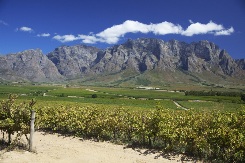 Stellenbosch Winery, Cape Town South Africa