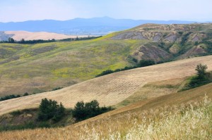 Tuscan Landscape, Siena Italy