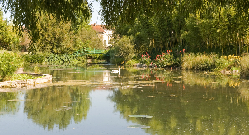 Monets Garden and Lily Pond, Giverny, France