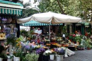 San Remo flowers, Liguria, Italy