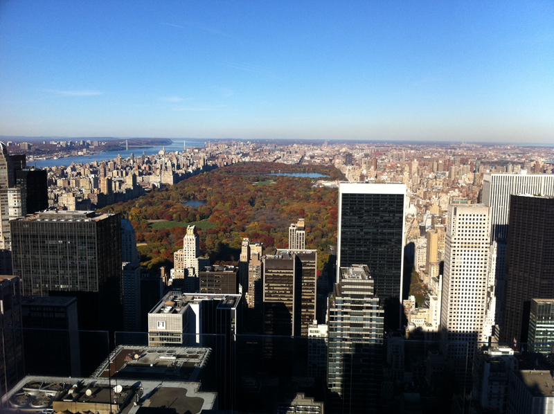 Central Park as seen from Top of the Rock, New York