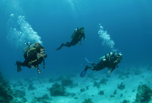 Three Friends Scuba Diving