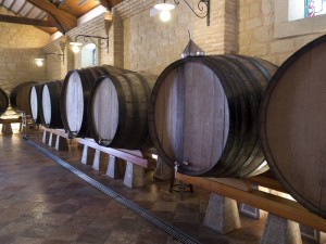 Wine Barrels - Spanish Bodega - Spain