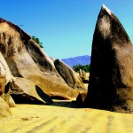 Benaulim Beach South Goa India Photo by racoles