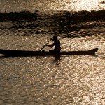 Man in canoe on sunrise. Kerala backwaters, India