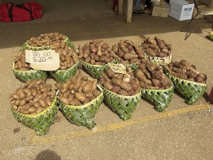 Ufi lei and talo (root crops in Tonga)