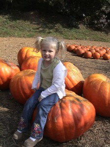 Pumpkins of all sizes, Georgia