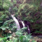 One of the many waterfalls along the road to Hana. This one you could see from the main highway