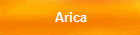 Arica